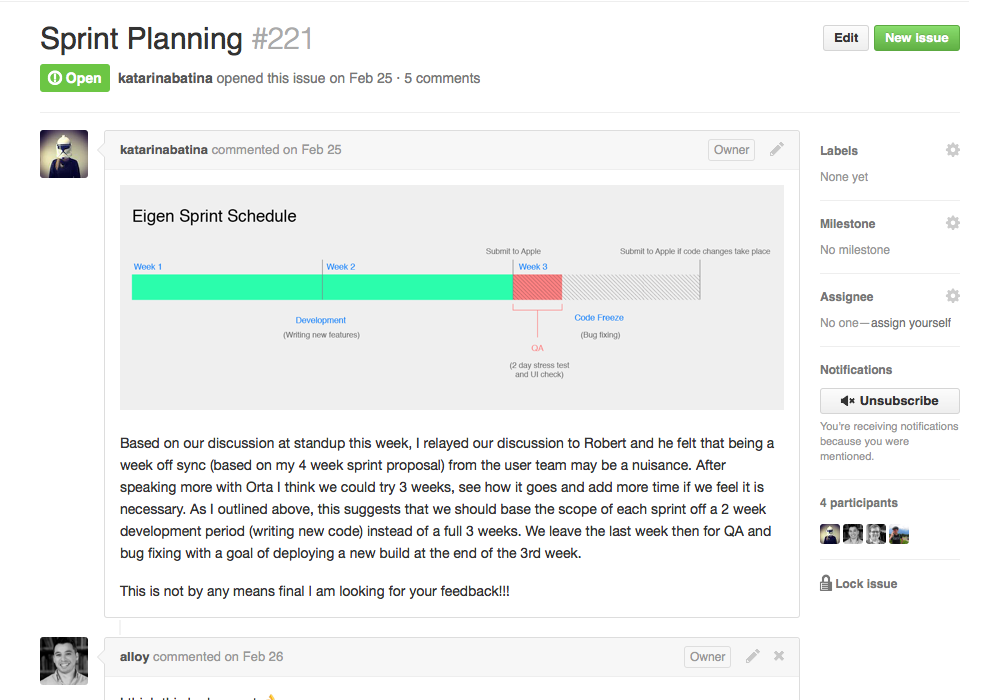 Sprint Planning Issue